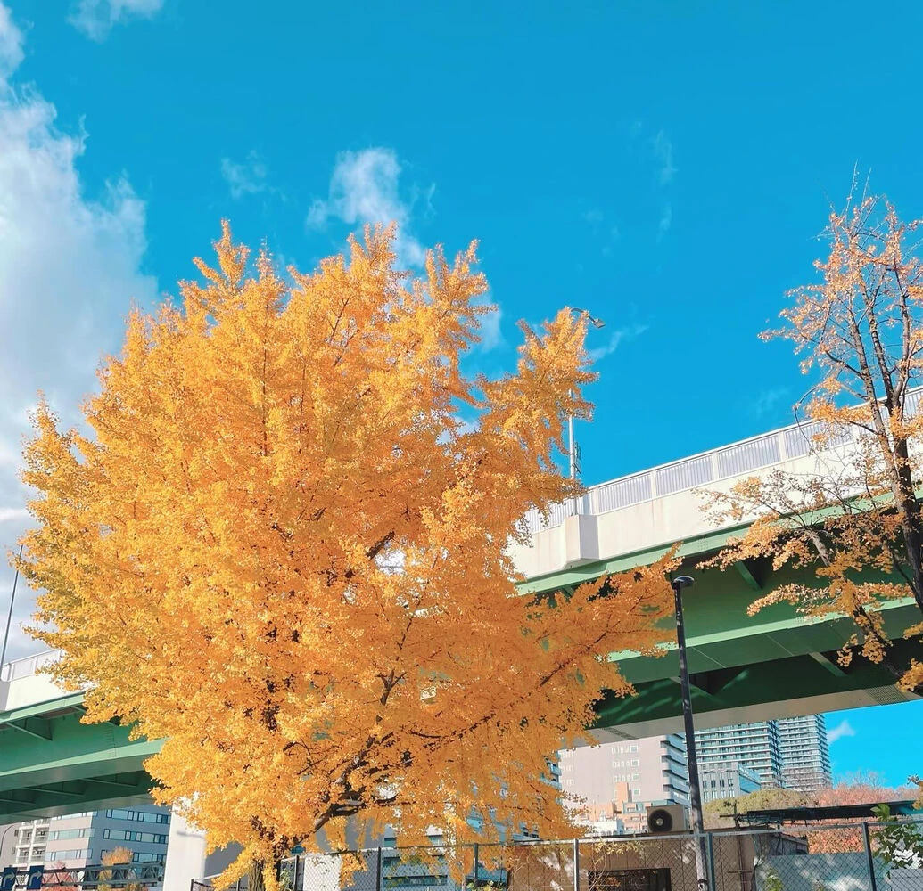 ブログ